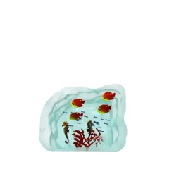 Hot Aquarium poissons verre yves trucchi Décoration|Bestiaire