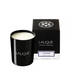 New Bougie parfumée figuier lalique Coupes, Coupelles Et Photophores|Bougies Lalique