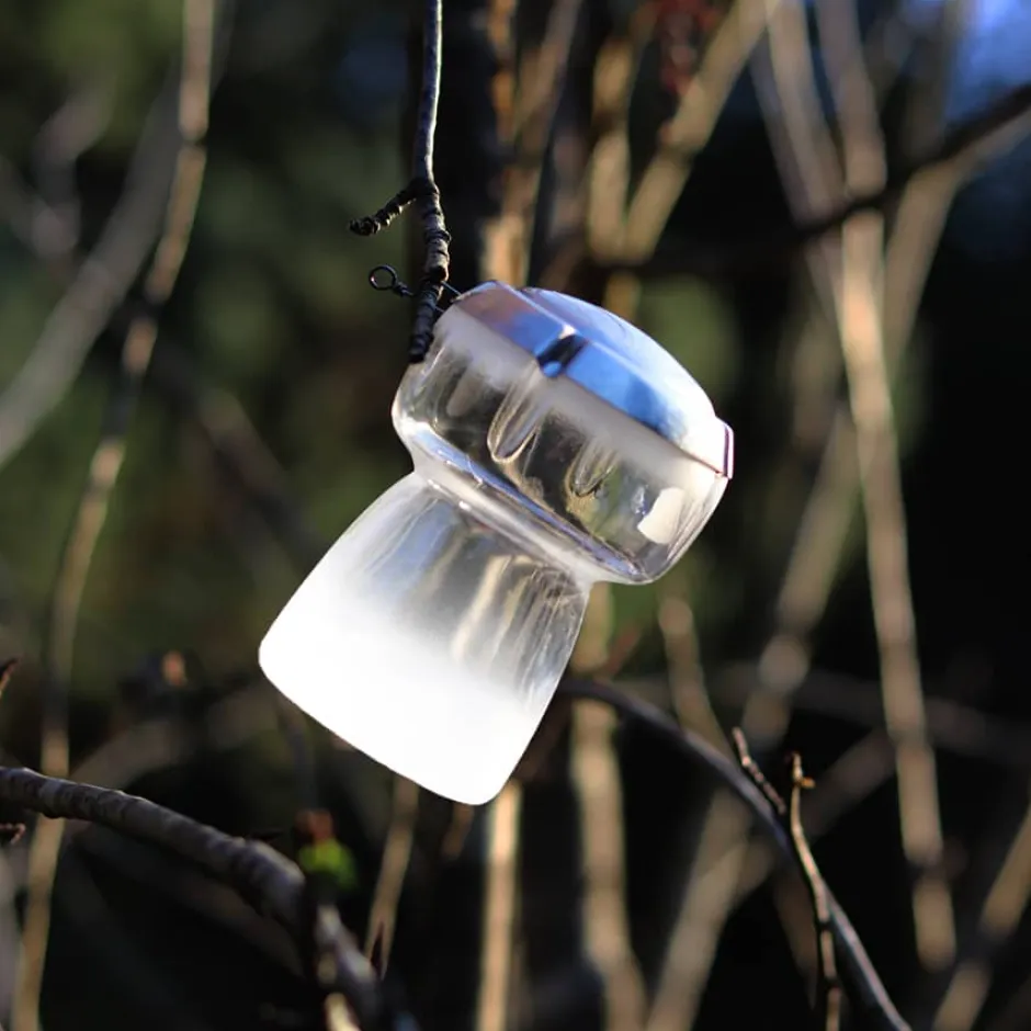 Outlet Boule de noël bouchon de champagne 2020 Décoration