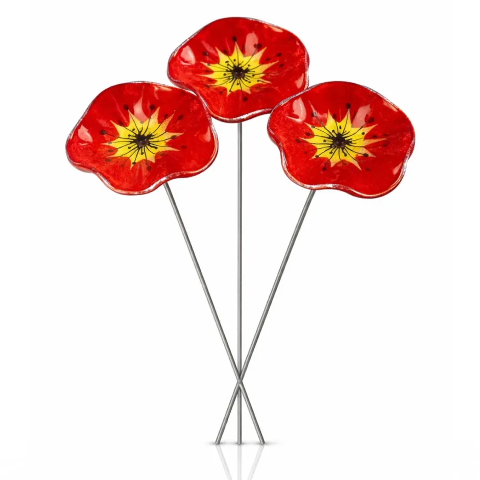 Best Coffret printemps fleurs d’extérieurs X3 Fleurs Cristal