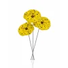 New Coffret printemps pm fleurs d’extérieurs X3 jaune Décoration|Fleurs Cristal