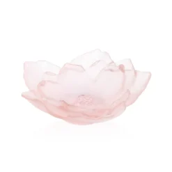 Best Coupe petit modèle camelia daum Coupes Cristal