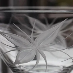 Coupe roni cristal lehrer Coupes, Coupelles Et Photophores|Coupelles Cristal