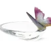 Hot Coupelle papillon daum Bestiaire|Coupelles Cristal