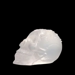 Sale Crâne de cristal – loïc ortega Décoration|Éditions D’Art Cristal