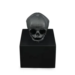 Clearance Crâne eternal Memory Damien Hirst & Lalique 2017 cire perdue Sculptures Cristal|Sculptures Et Figurines