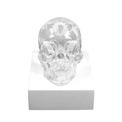 Hot Crâne eternal Sleep Damien Hirst & Lalique 2017 cire perdue Sculptures Et Figurines|Sculptures Cristal