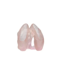 Clearance Etoile pm daum Editions D’Art