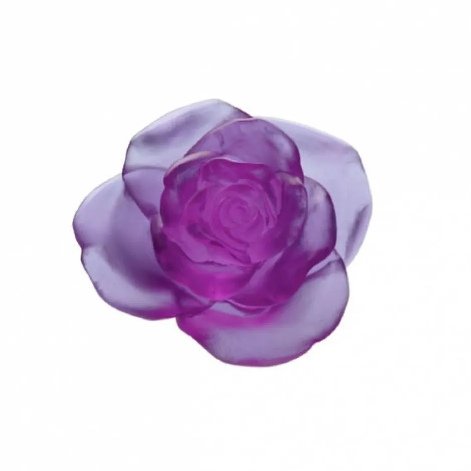 Discount Fleur ultraviolet rose passion daum Fleurs Cristal|Sulfures, Presse-Papiers Cristal
