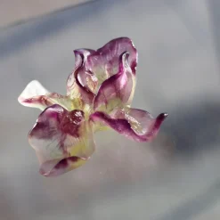 Online Fleur violette iris daum Fleurs Cristal