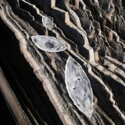 Discount Grande coupe Silex Lalique Coupes, Coupelles Et Photophores|Coupes Cristal