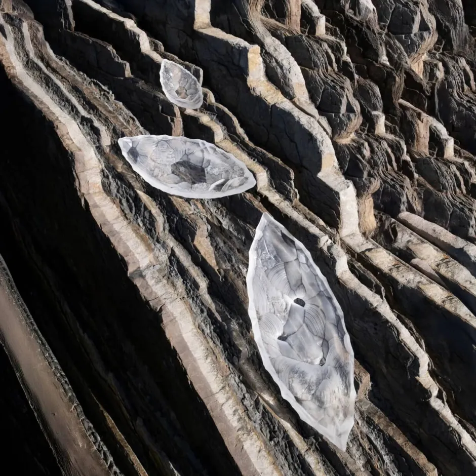 Discount Grande coupe Silex Lalique Coupes, Coupelles Et Photophores|Coupes Cristal