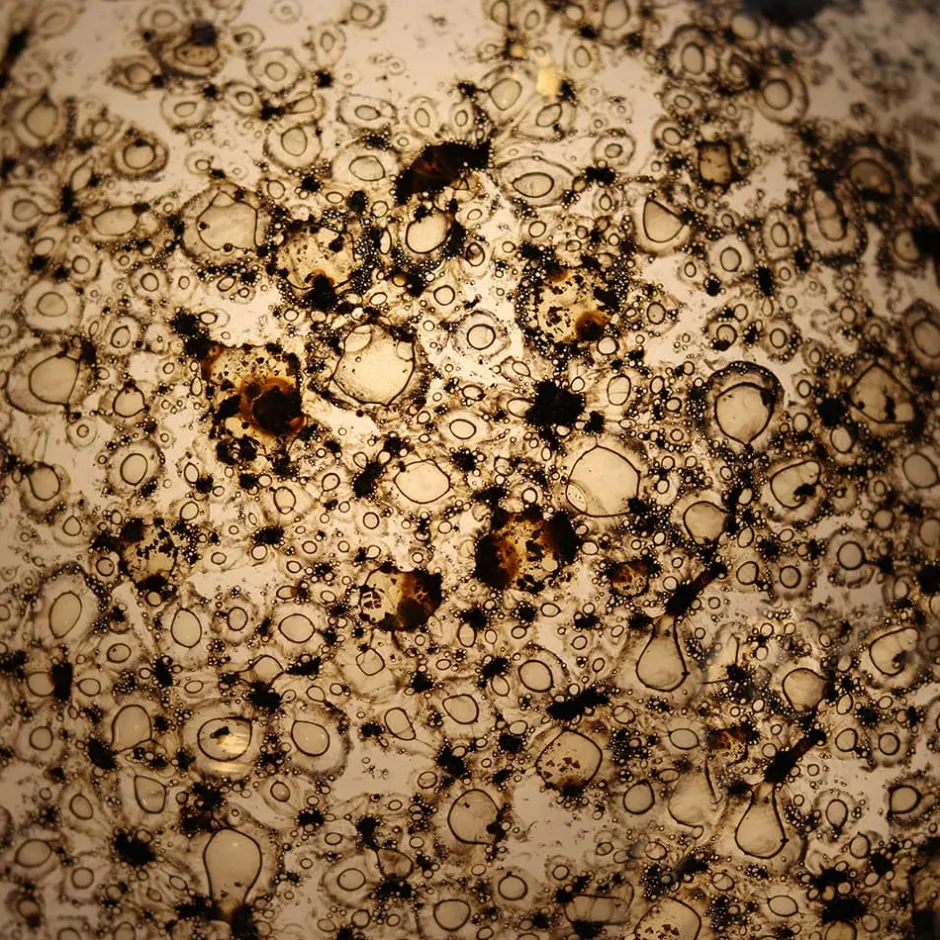 Best Lampe à poser volcania ambre en verre Lampes Cristal|Luminaires