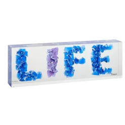 Hot Life richard woleck et jean-françois bollié Daum Editions D’Art|Éditions D’Art Cristal