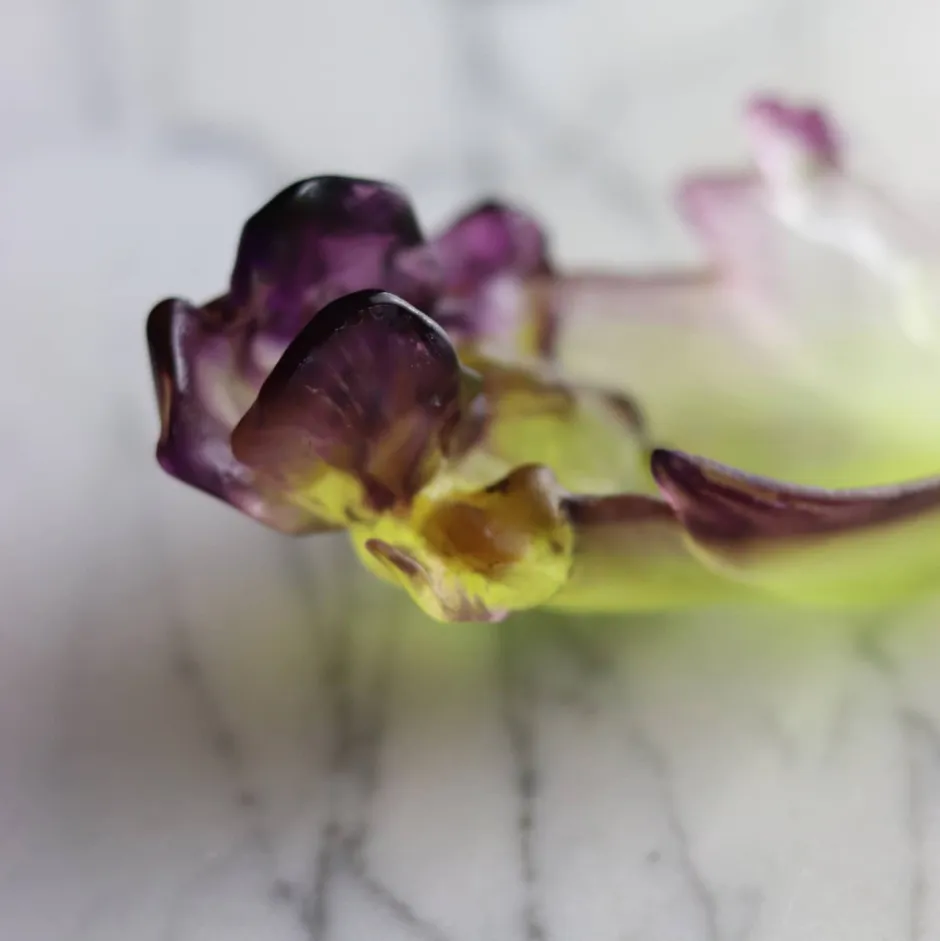 Best Mini coupelle iris daum Coupelles Cristal