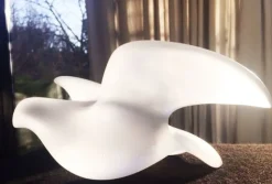 Best Paloma daum – pedro ramirez vazquez Editions D’Art|Bestiaire