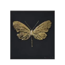 Outlet Papillon eternal Hope Damien Hirst & Lalique 2015 Sculptures Et Figurines|Sculptures Cristal