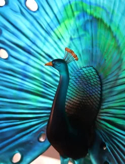 Online Parade du paon daum par madeleine van der knoop Editions D’Art|Bestiaire