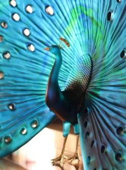 Online Parade du paon daum par madeleine van der knoop Editions D’Art|Bestiaire