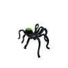 Best Sculpture araignée humoristique Bestiaire|Animaux Cristal