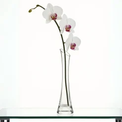 Discount Vase soliflore cristal Vases Cristal Clair|Vases